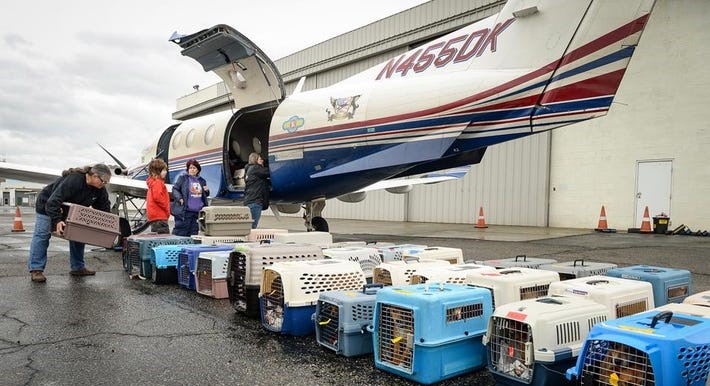 globalfreightwayslogistics